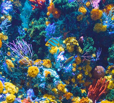 MARINE_RESEARCH
